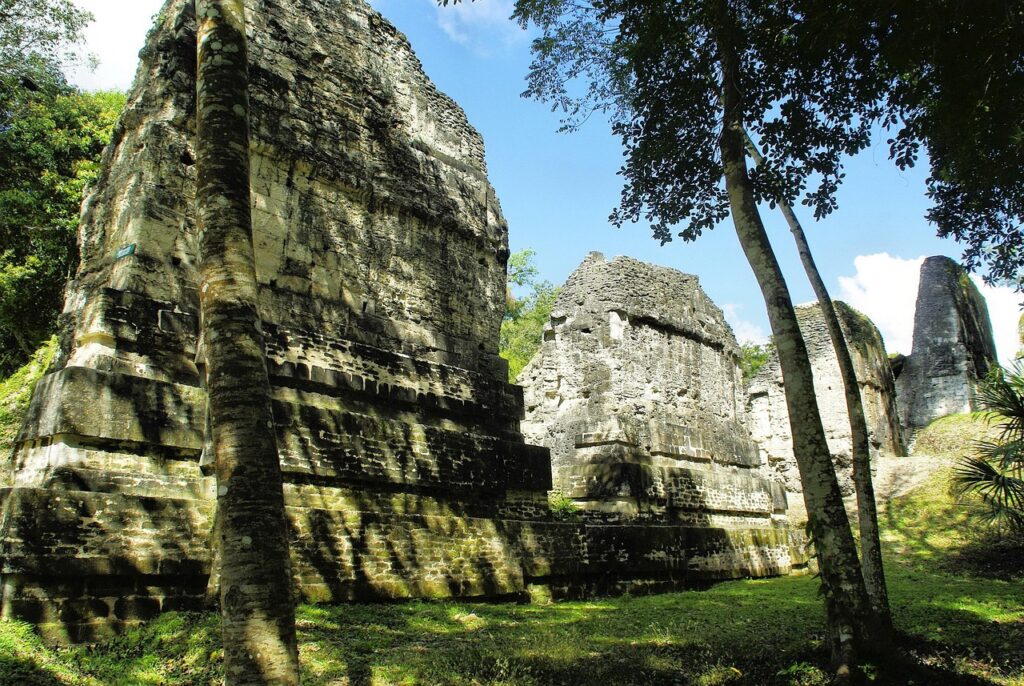 guatemala, tikal, petén, maya, ruins, civilization, pre-columbian, pyramid, rainforest, guatemala, guatemala, guatemala, guatemala, guatemala, tikal, tikal, tikal, rainforest