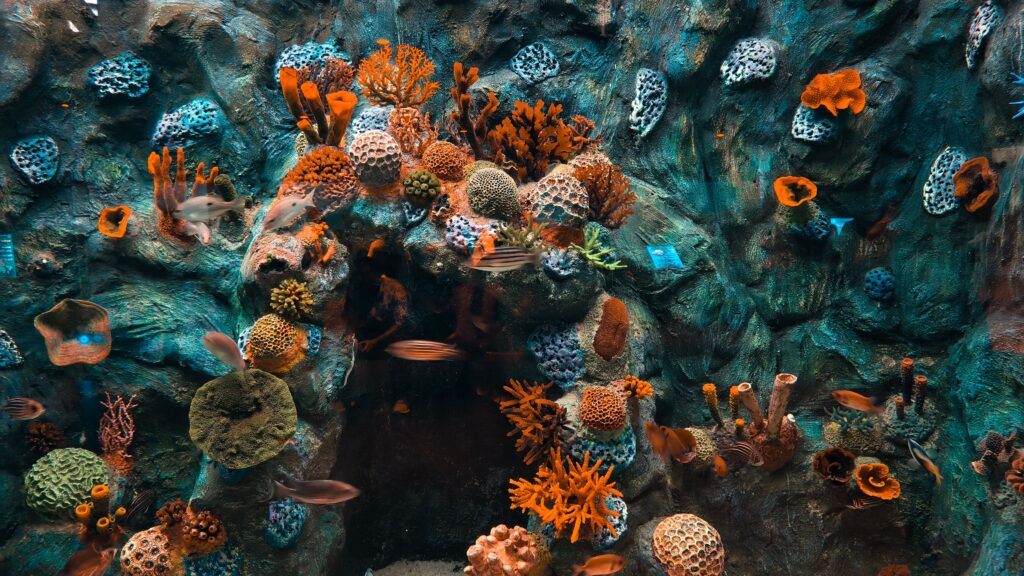 Vibrant underwater scene of a coral reef with various fishes and colorful corals.