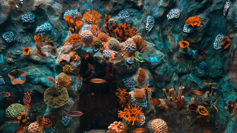 Vibrant underwater scene of a coral reef with various fishes and colorful corals.